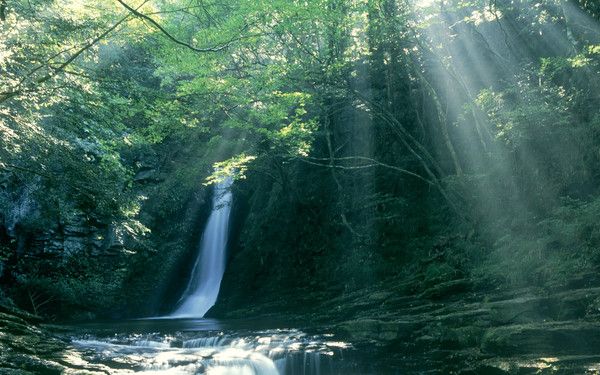 fond d'écran cascade  Japon 1920x1200