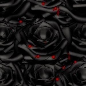 fond pour forum (roses noires gothique)