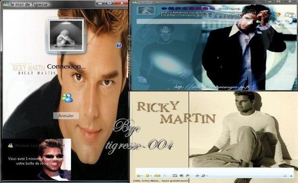 Skin plus ! 2009 Ricky Martin fait par moi ^^