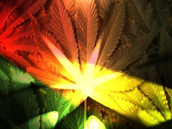 fond d'écran cannabis