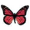 avatar papillon