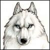 avatar loup