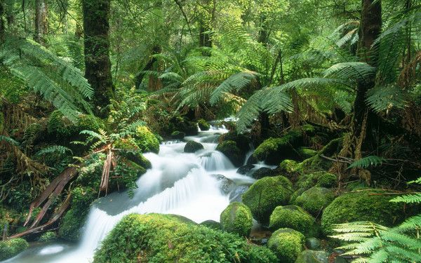 fond d'écran paysage cascade australien 1920x1200