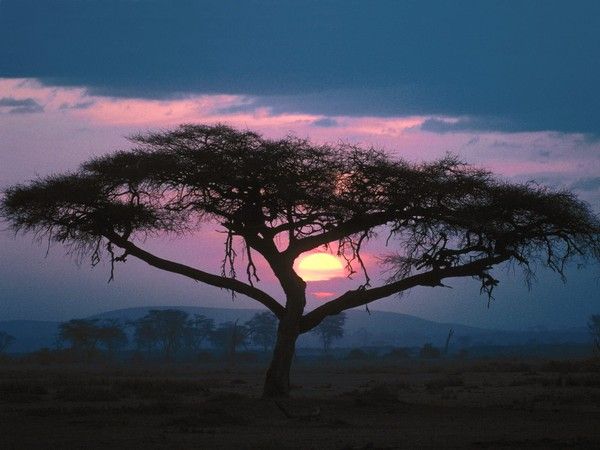 fond d'écran coucher de soleil