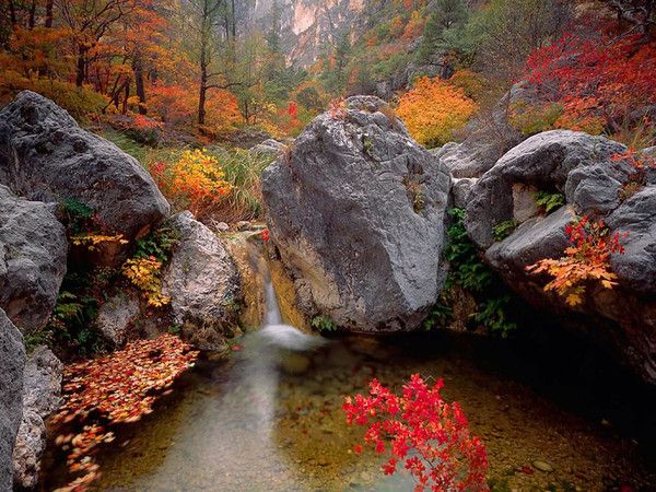 fond d'écran cascade