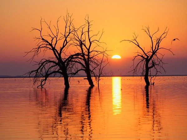 fond d'écran coucher de soleil