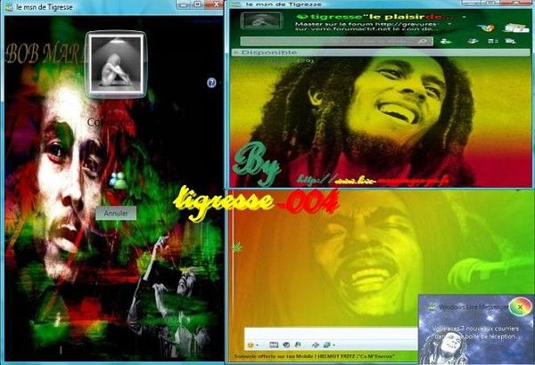 skin plus ! 2009 Bob Marley fait par moi ^^