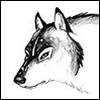 avatar loup