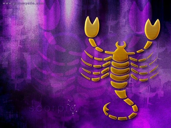 fond d'écran signe du zodiaque Scorpion