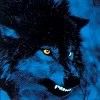 avatar loup