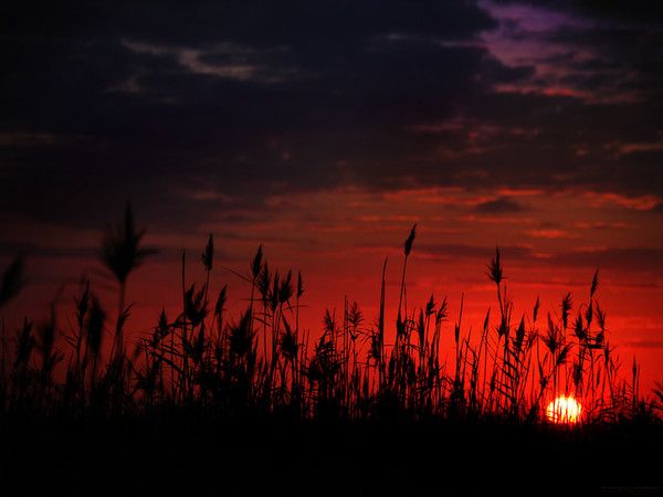 fond d'écran coucher de soleil