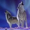 avatar loup