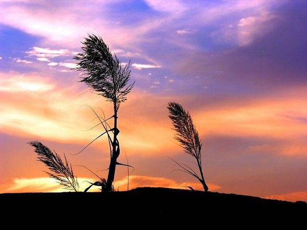 fond d'écran coucher de soleil