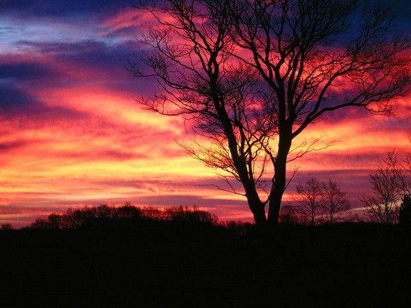 fond d'écran coucher de soleil