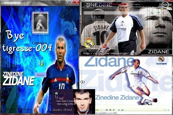 Skin Plus ! 2009 Zidane fait par moi ^^