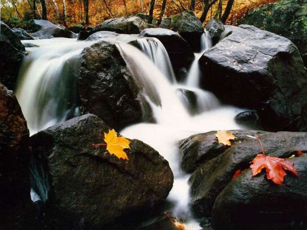 fond d'écran cascade