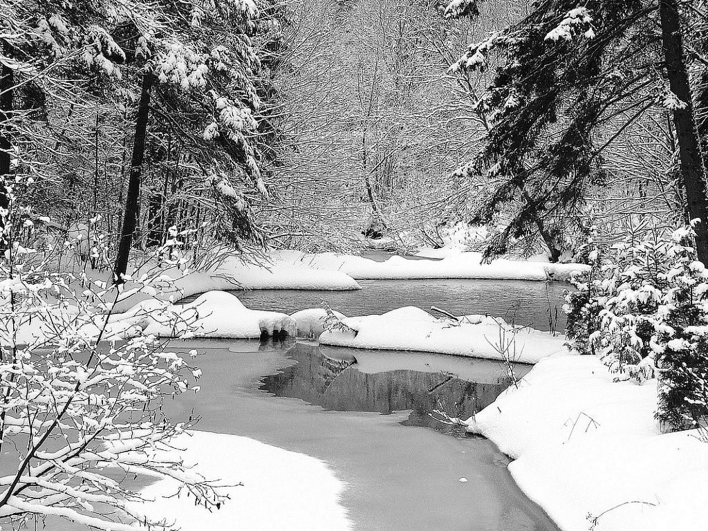 fond d'Ã©cran paysage d'hiver noir & blanc